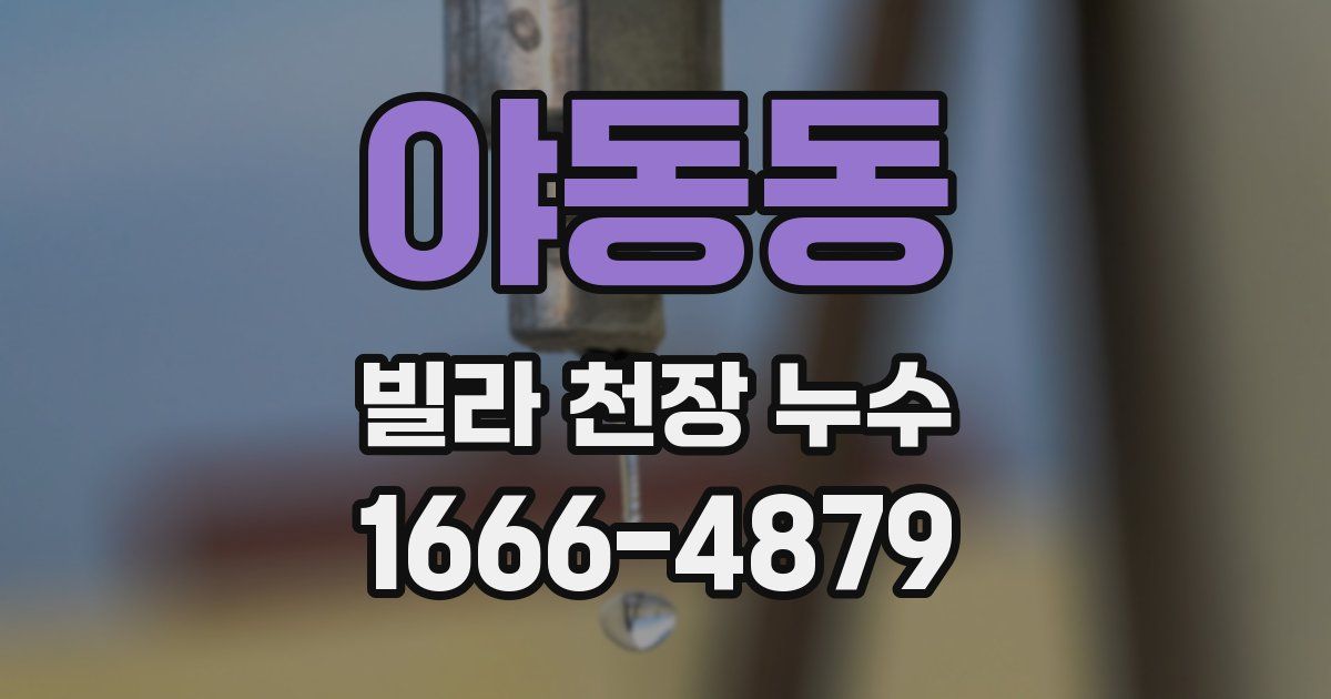 야동동 빌라 천장 누수
