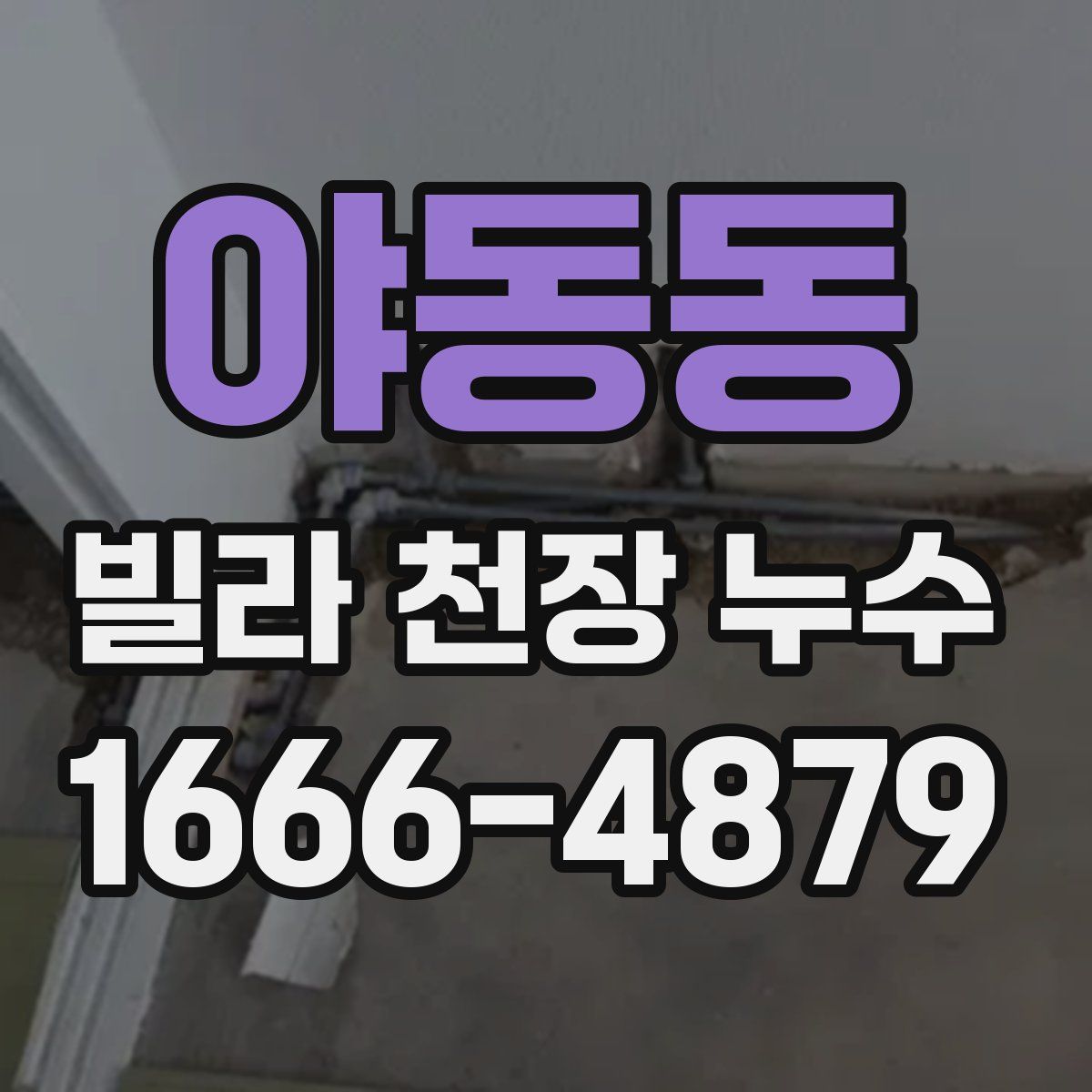 야동동 빌라 천장 누수