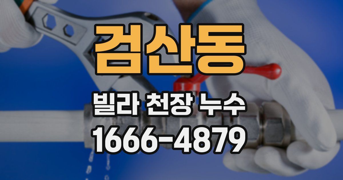 검산동 빌라 천장 누수