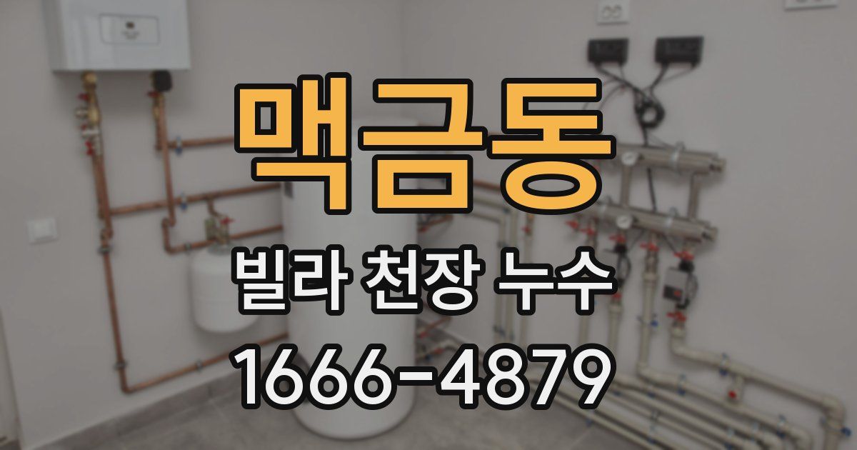 맥금동 빌라 천장 누수