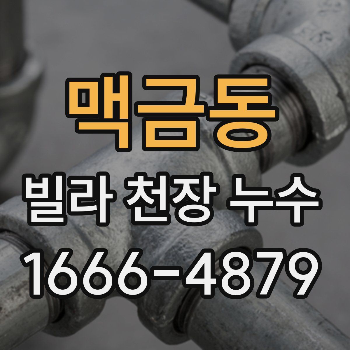 맥금동 빌라 천장 누수
