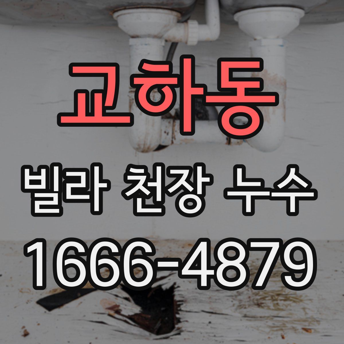 교하동 빌라 천장 누수