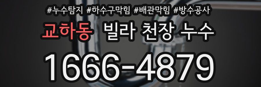 교하동 빌라 천장 누수