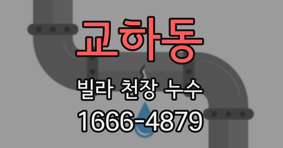 교하동 빌라 천장 누수