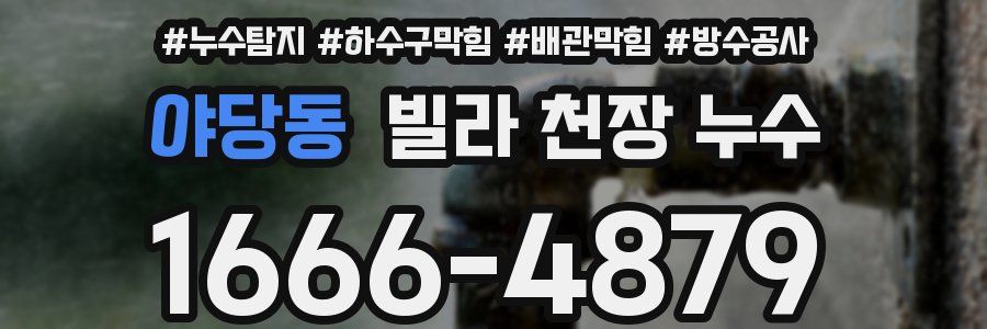 야당동 빌라 천장 누수