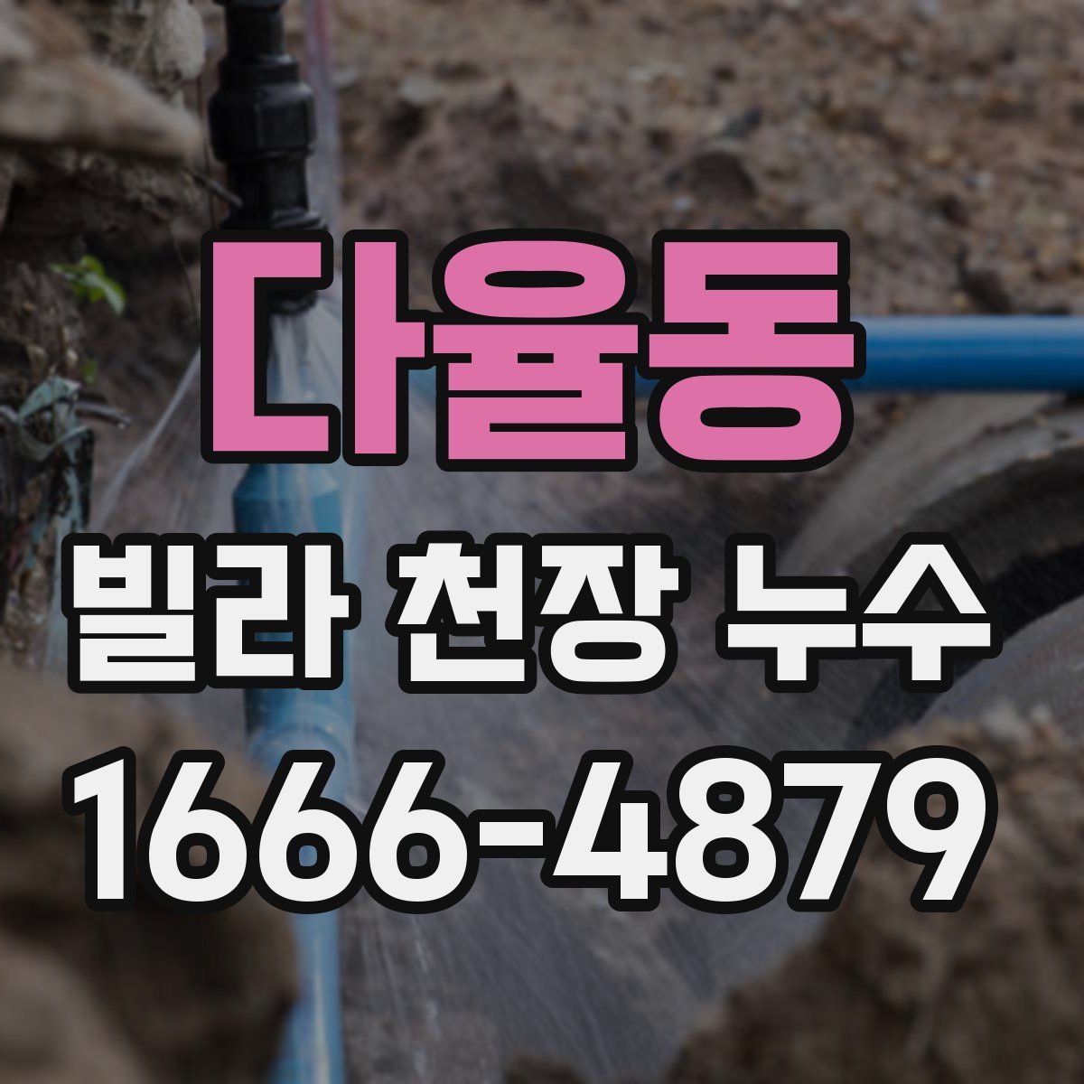 다율동 빌라 천장 누수