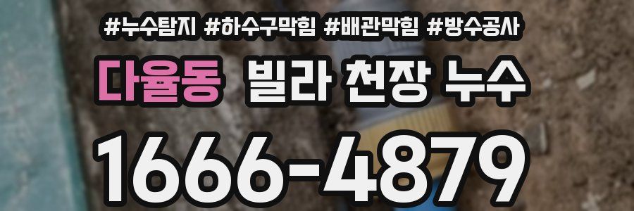 다율동 빌라 천장 누수
