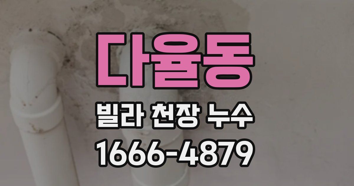 다율동 빌라 천장 누수