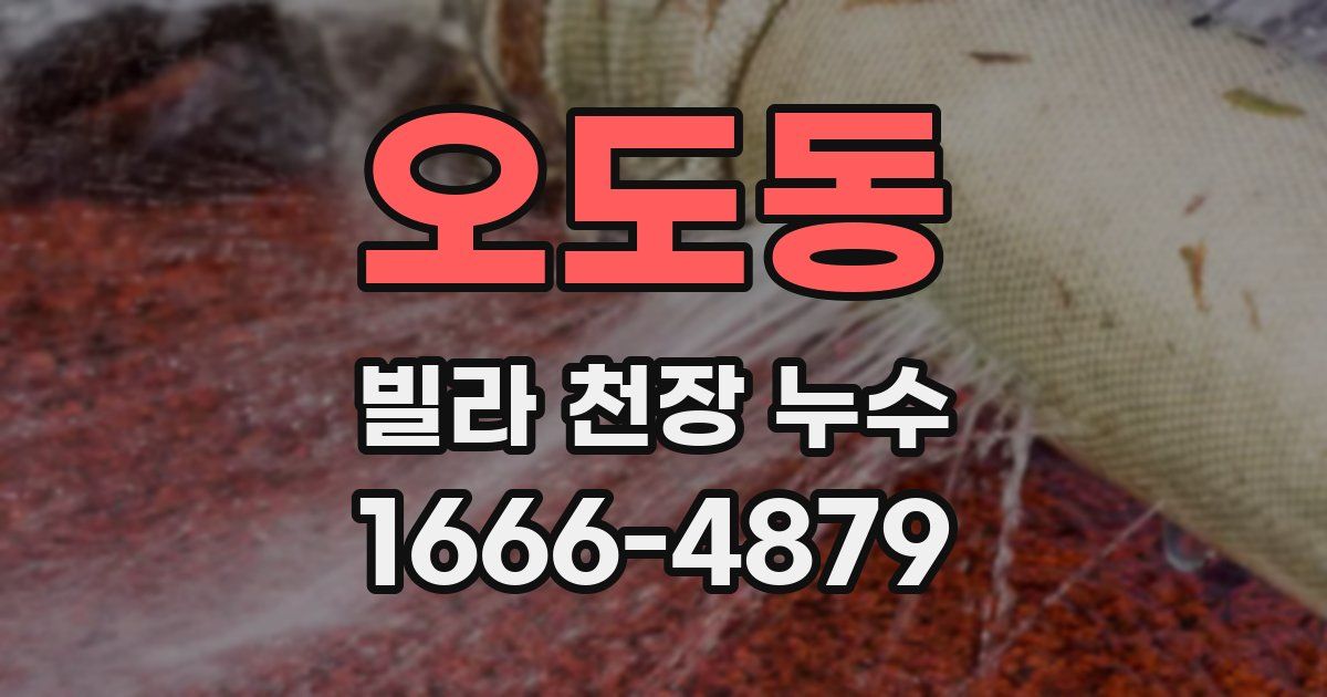 오도동 빌라 천장 누수