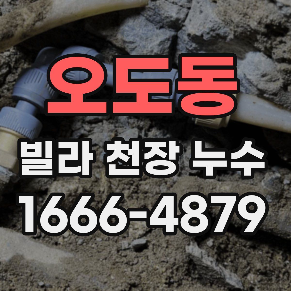 오도동 빌라 천장 누수