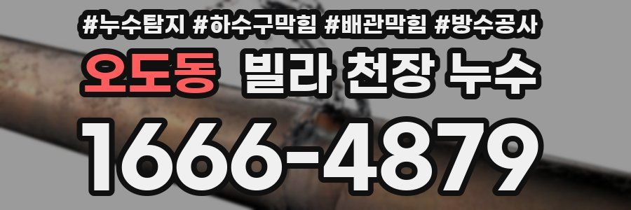 오도동 빌라 천장 누수