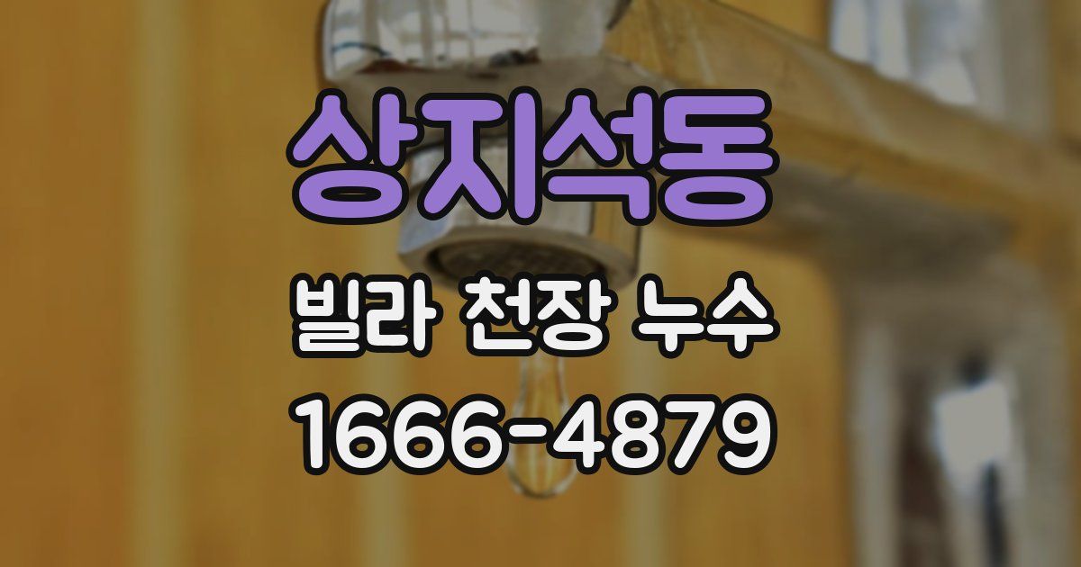 상지석동 빌라 천장 누수
