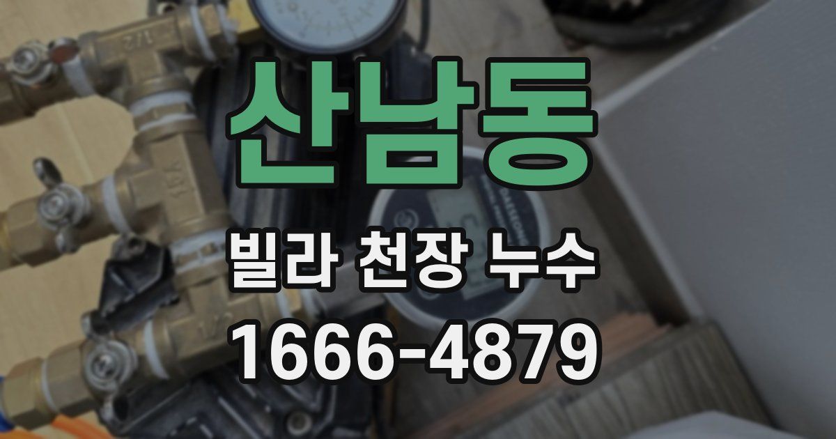 산남동 빌라 천장 누수