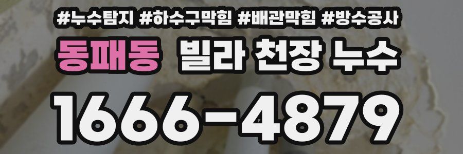 동패동 빌라 천장 누수