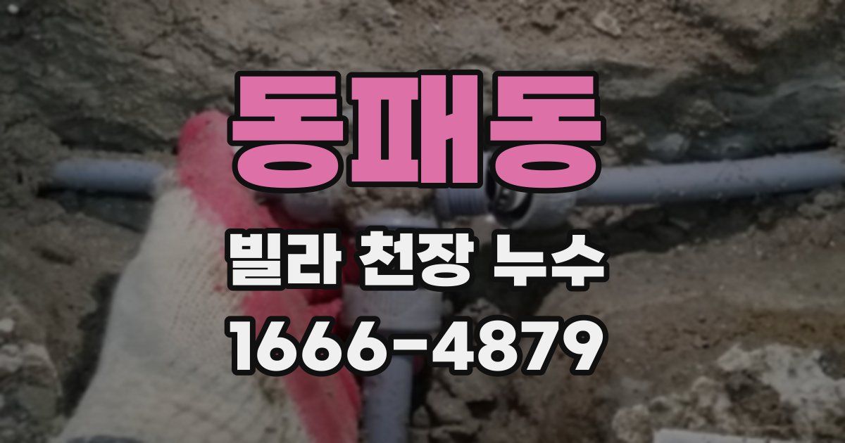 동패동 빌라 천장 누수