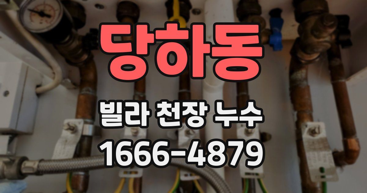 당하동 빌라 천장 누수