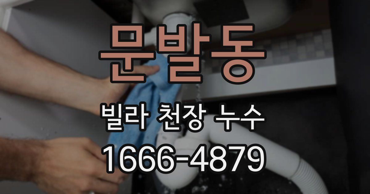 문발동 빌라 천장 누수