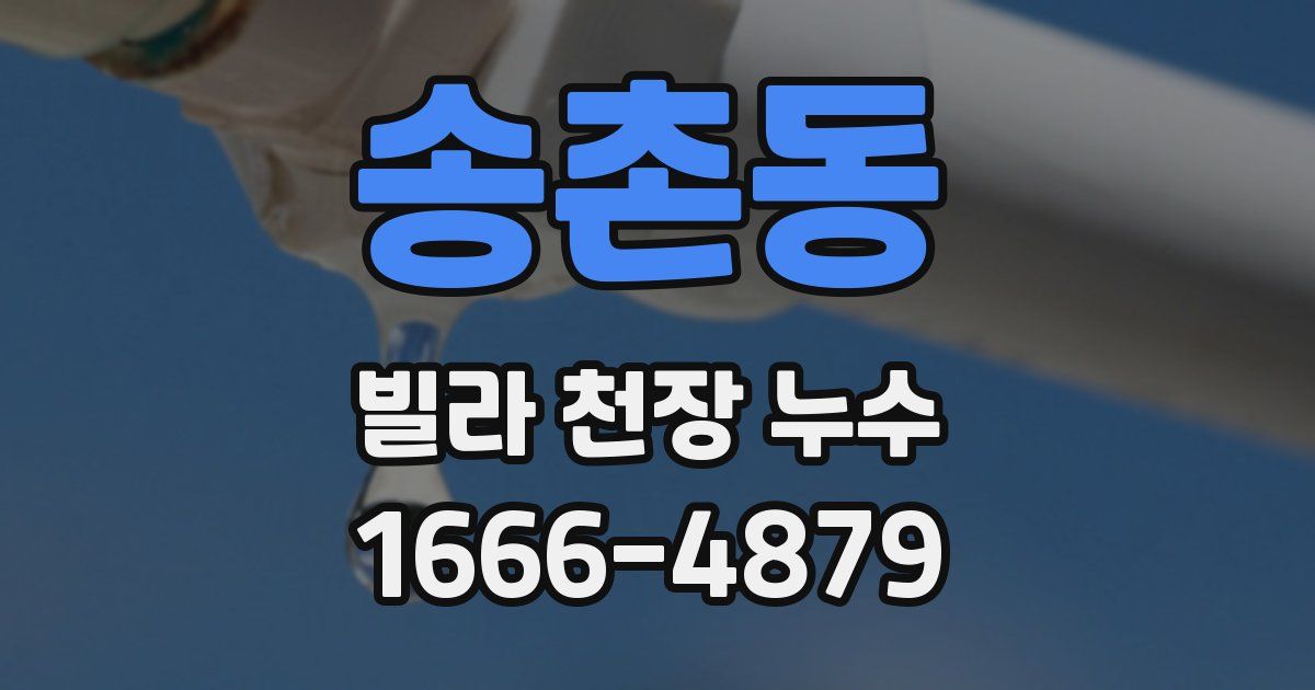 송촌동 빌라 천장 누수