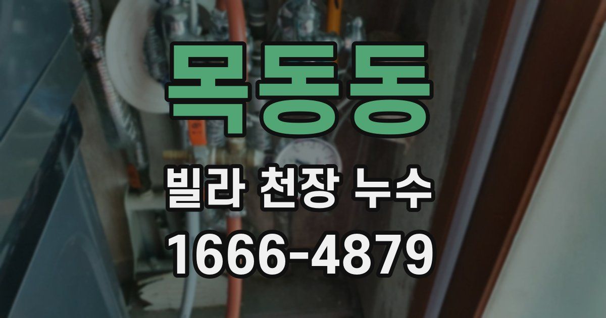 목동동 빌라 천장 누수