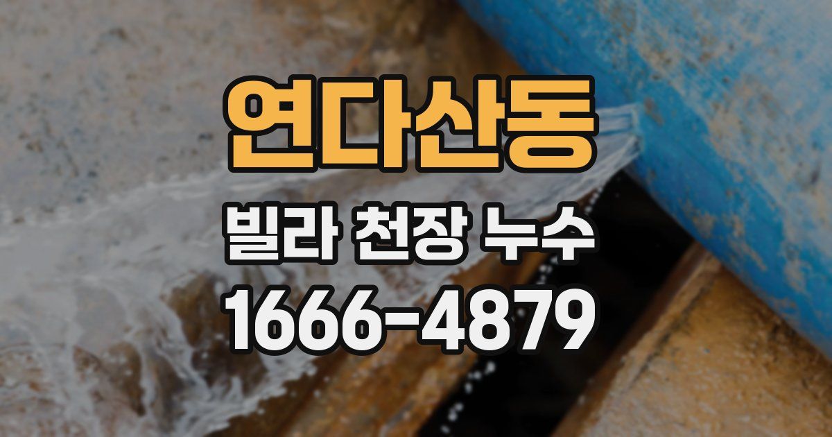 연다산동 빌라 천장 누수