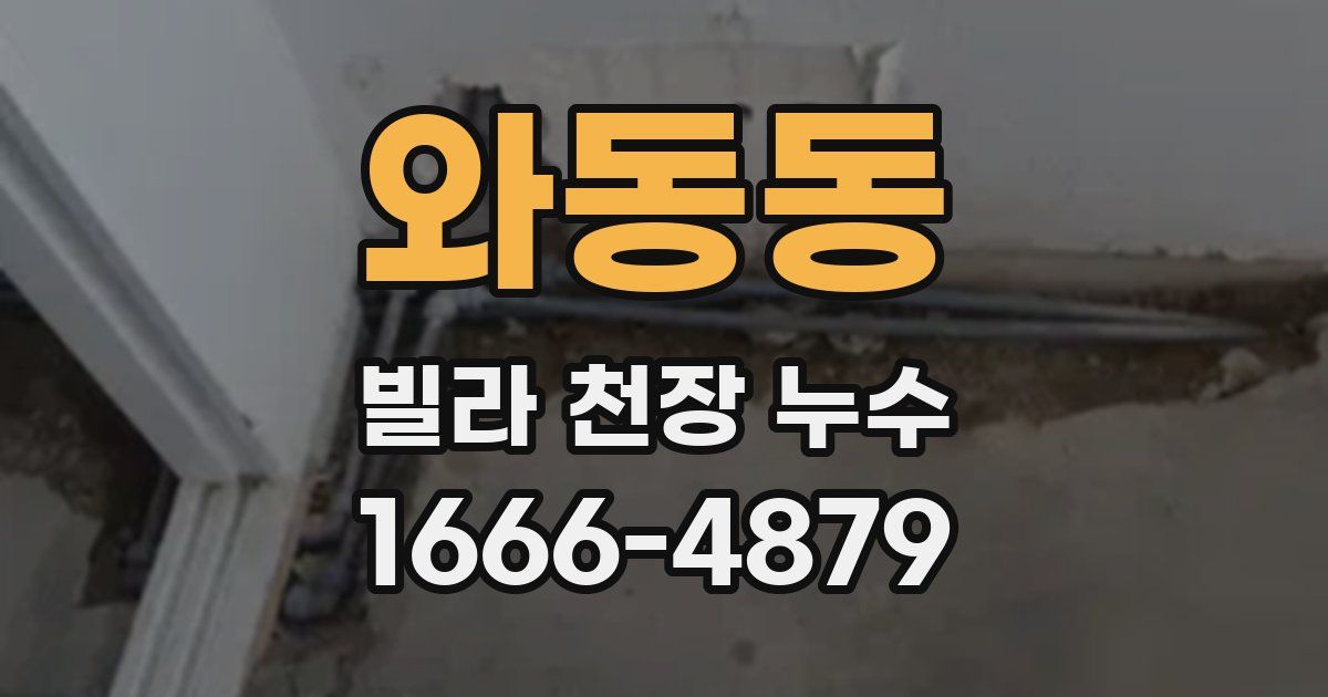 와동동 빌라 천장 누수