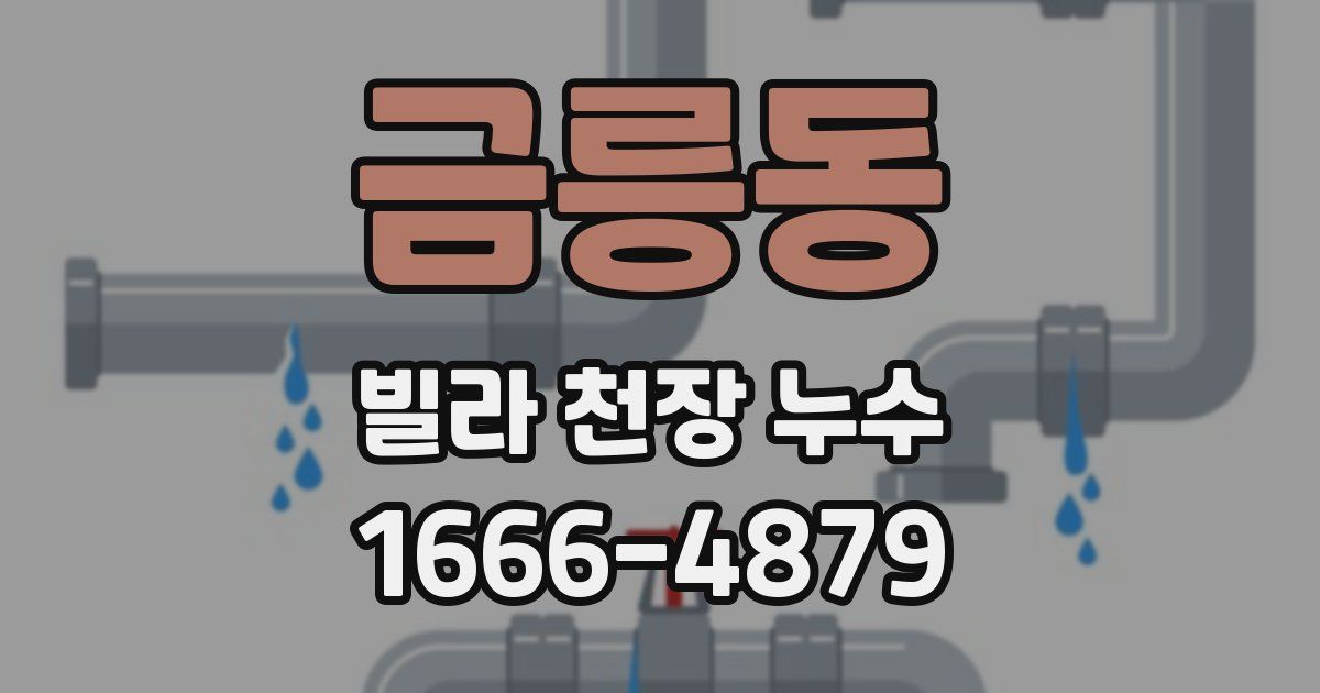 금릉동 빌라 천장 누수