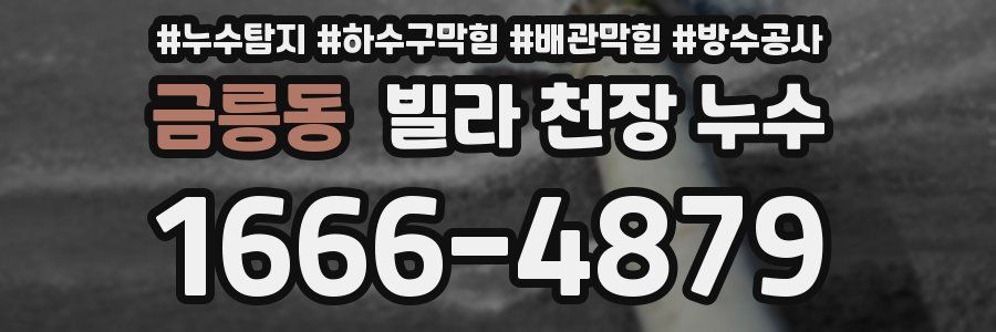 금릉동 빌라 천장 누수