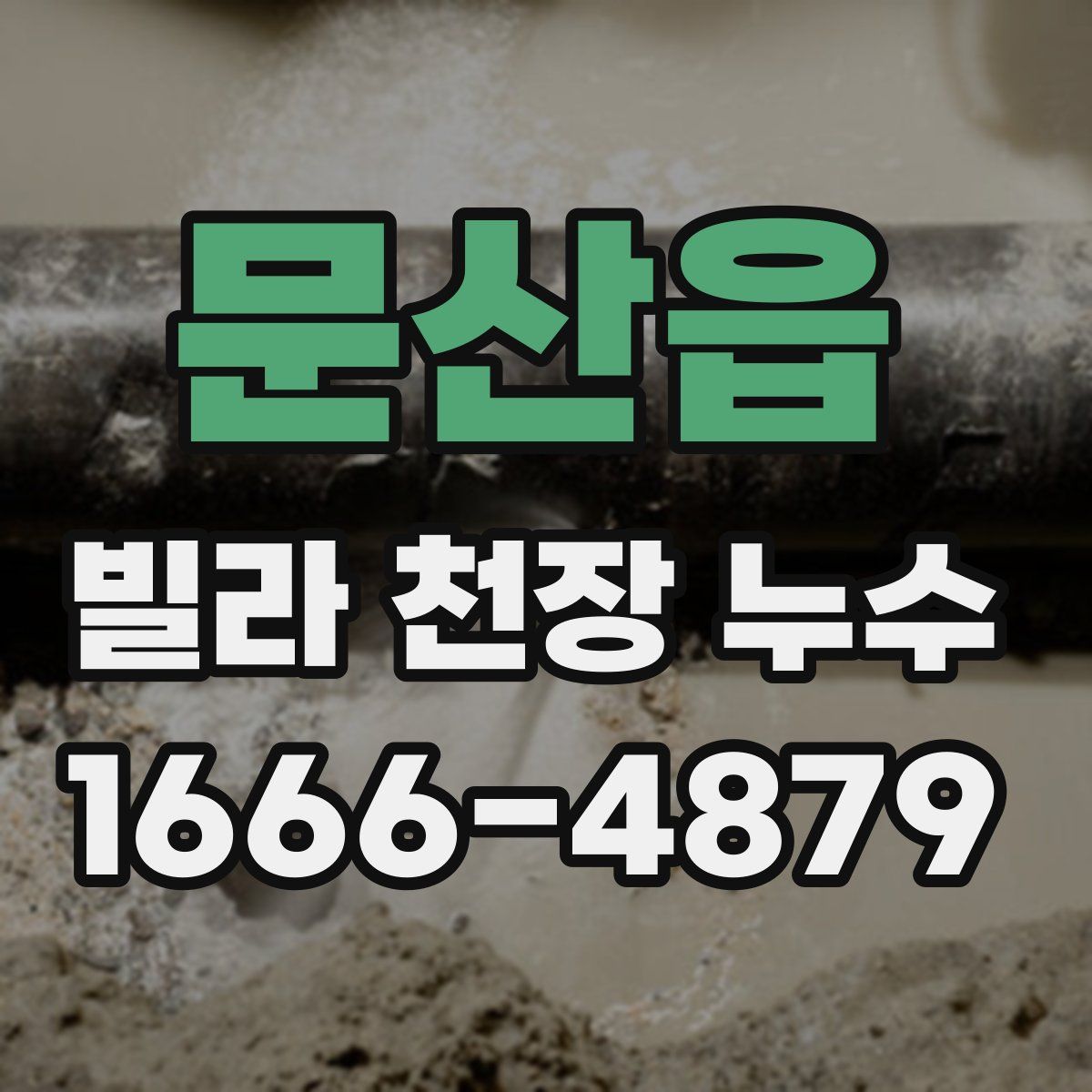 문산읍 빌라 천장 누수