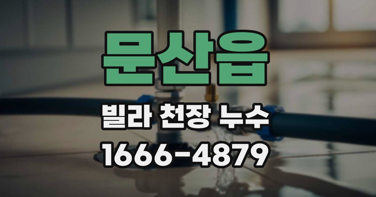 문산읍 빌라 천장 누수
