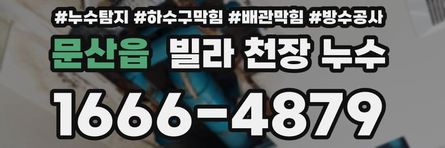 문산읍 빌라 천장 누수
