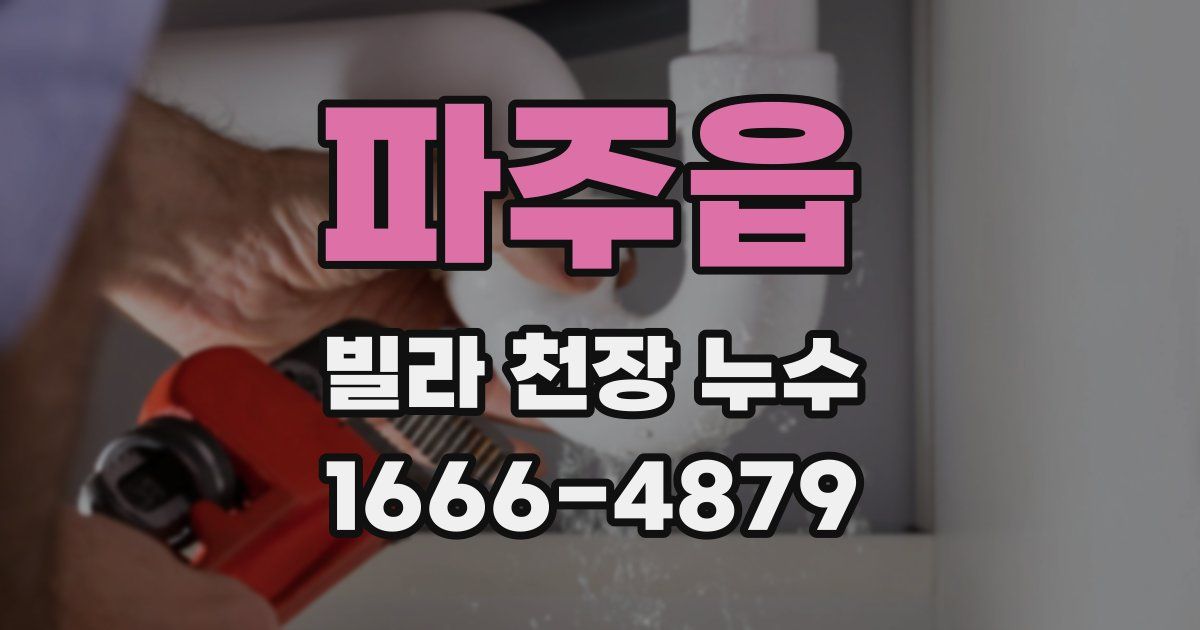 파주읍 빌라 천장 누수