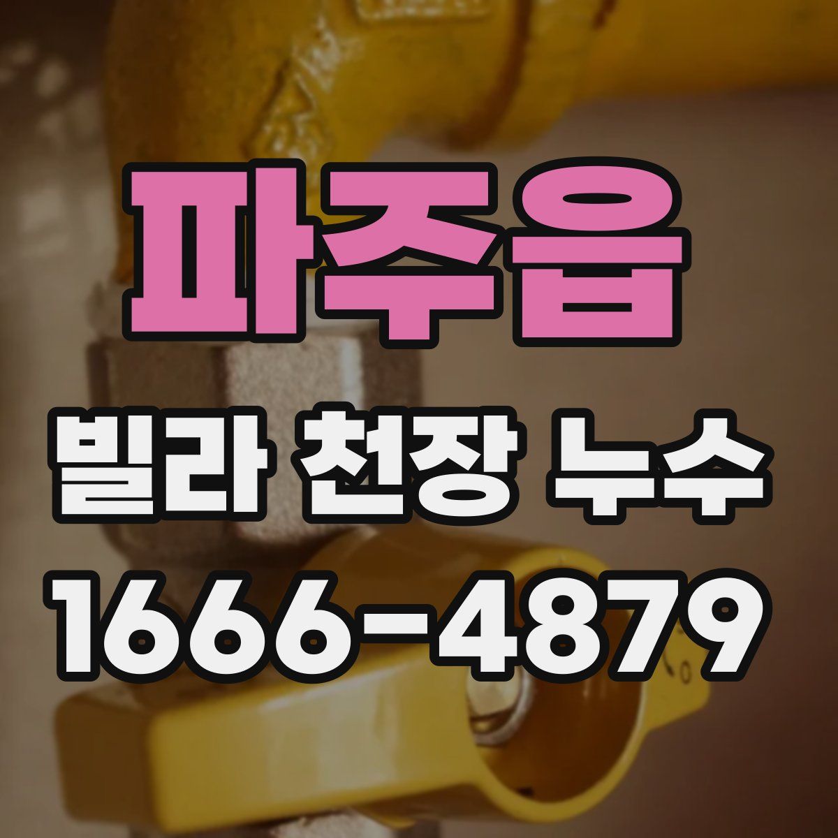 파주읍 빌라 천장 누수