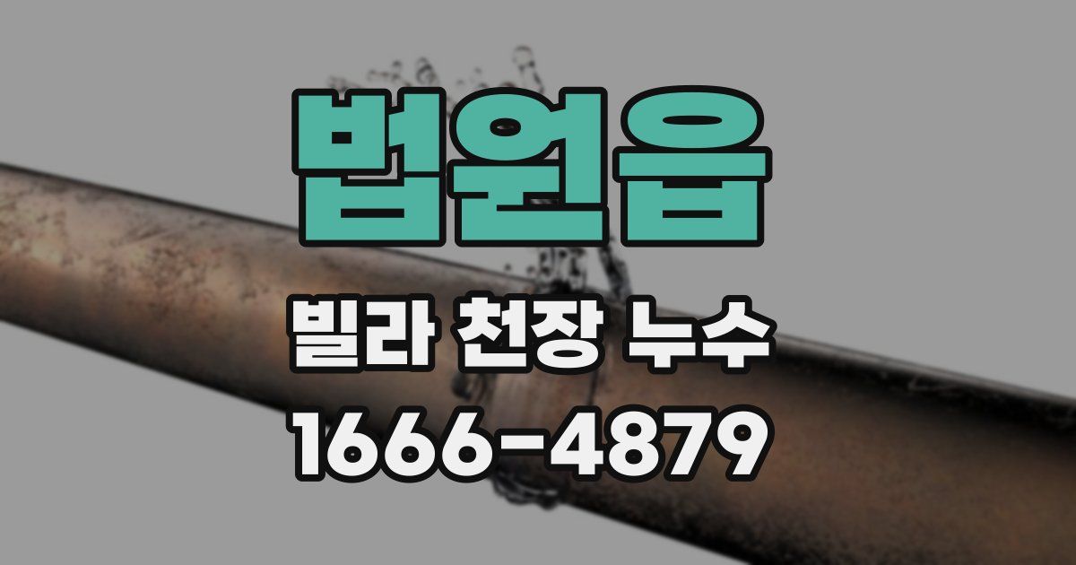 법원읍 빌라 천장 누수