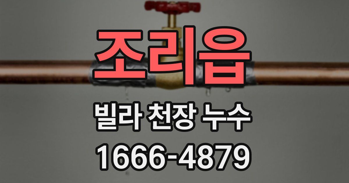 조리읍 빌라 천장 누수