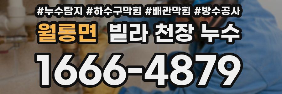 월롱면 빌라 천장 누수