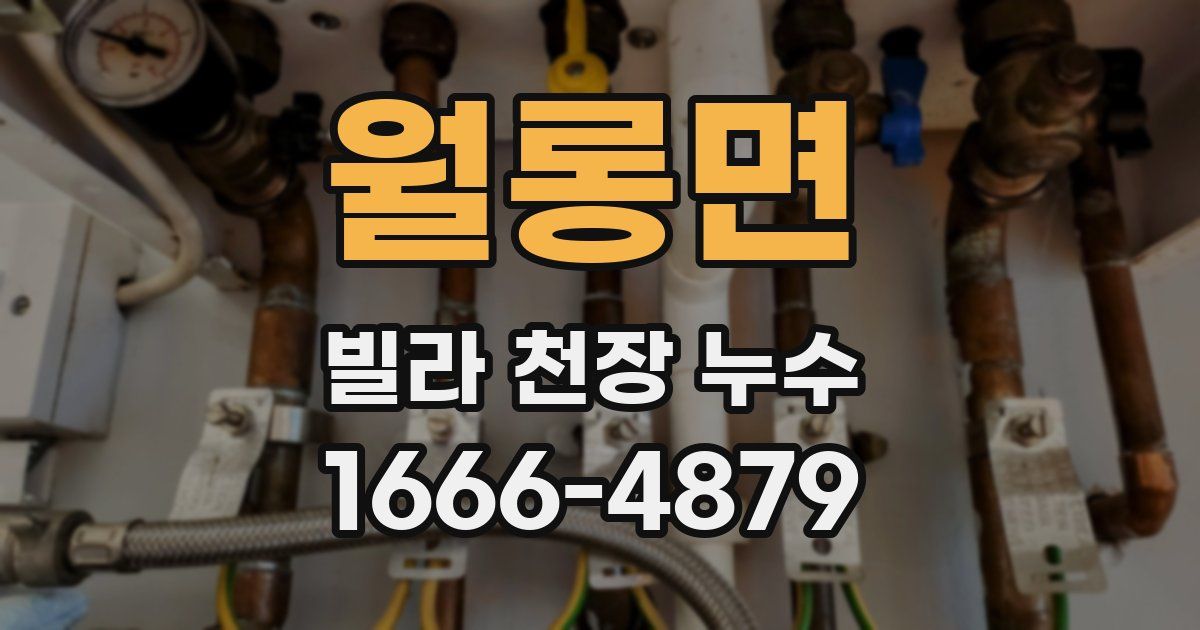 월롱면 빌라 천장 누수