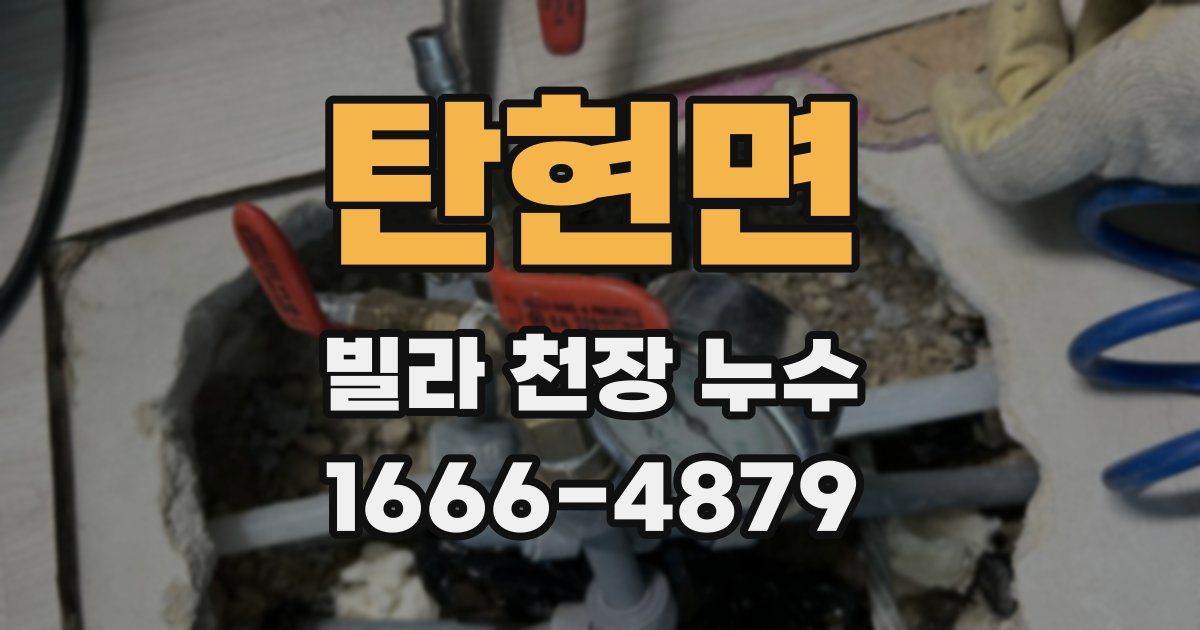 탄현면 빌라 천장 누수