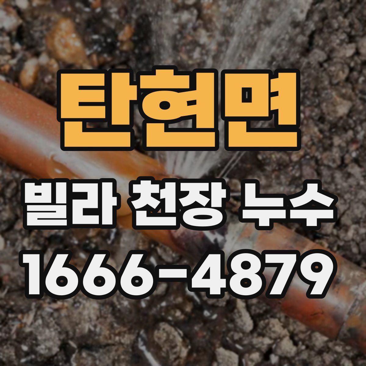 탄현면 빌라 천장 누수