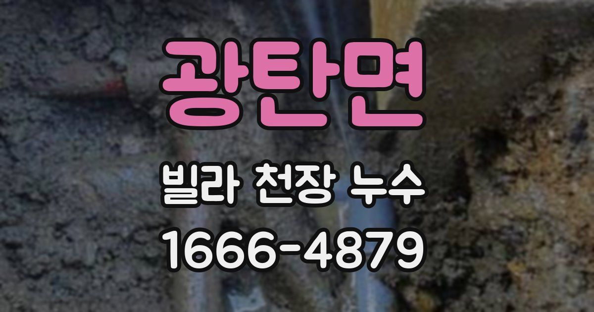 광탄면 빌라 천장 누수
