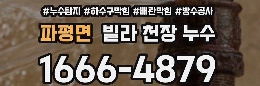 파평면 빌라 천장 누수