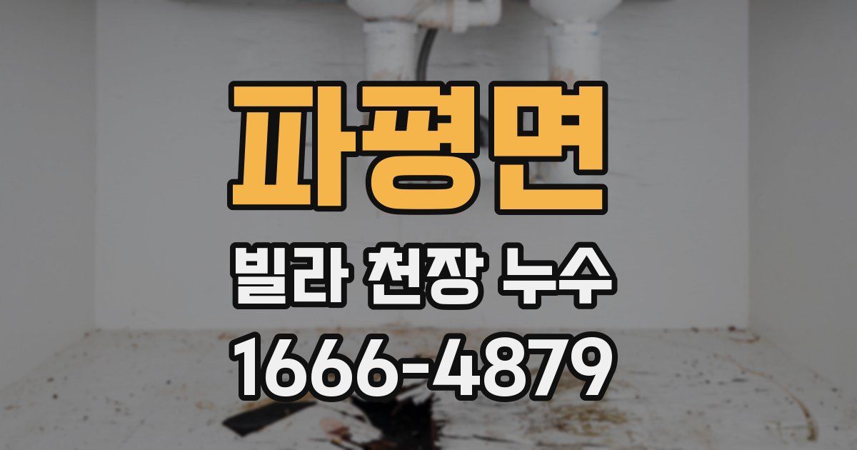 파평면 빌라 천장 누수