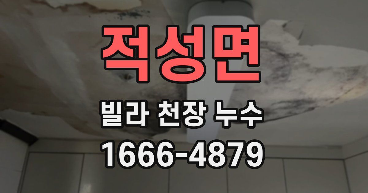 적성면 빌라 천장 누수