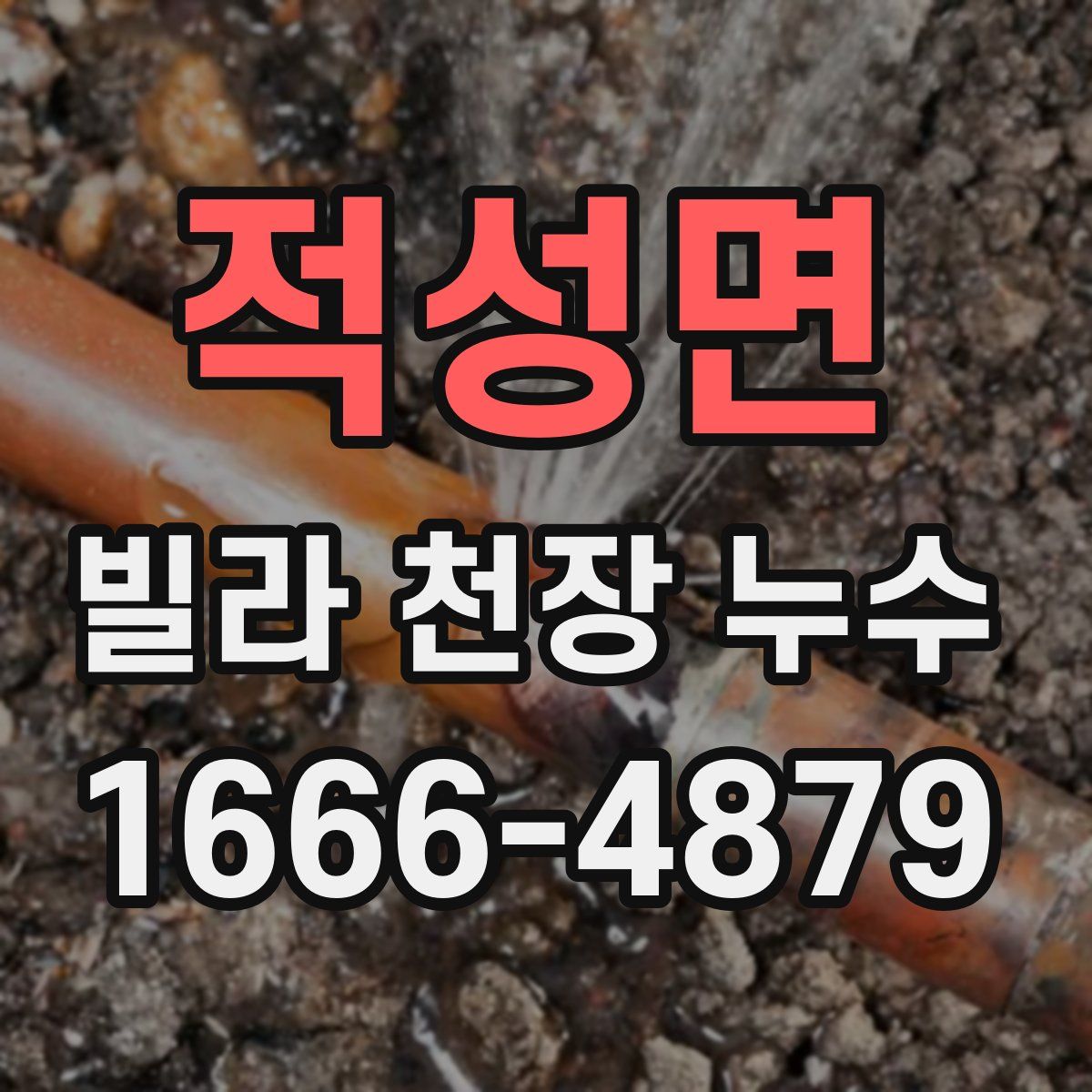 적성면 빌라 천장 누수