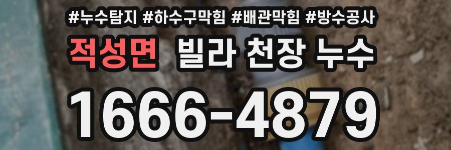 적성면 빌라 천장 누수