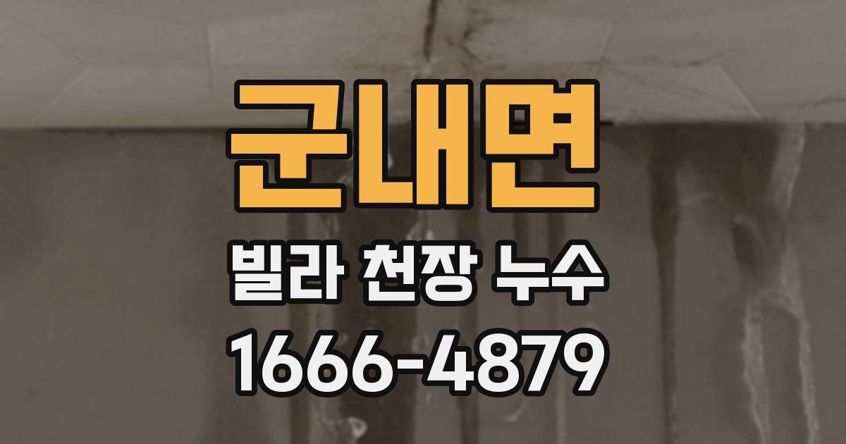 군내면 빌라 천장 누수