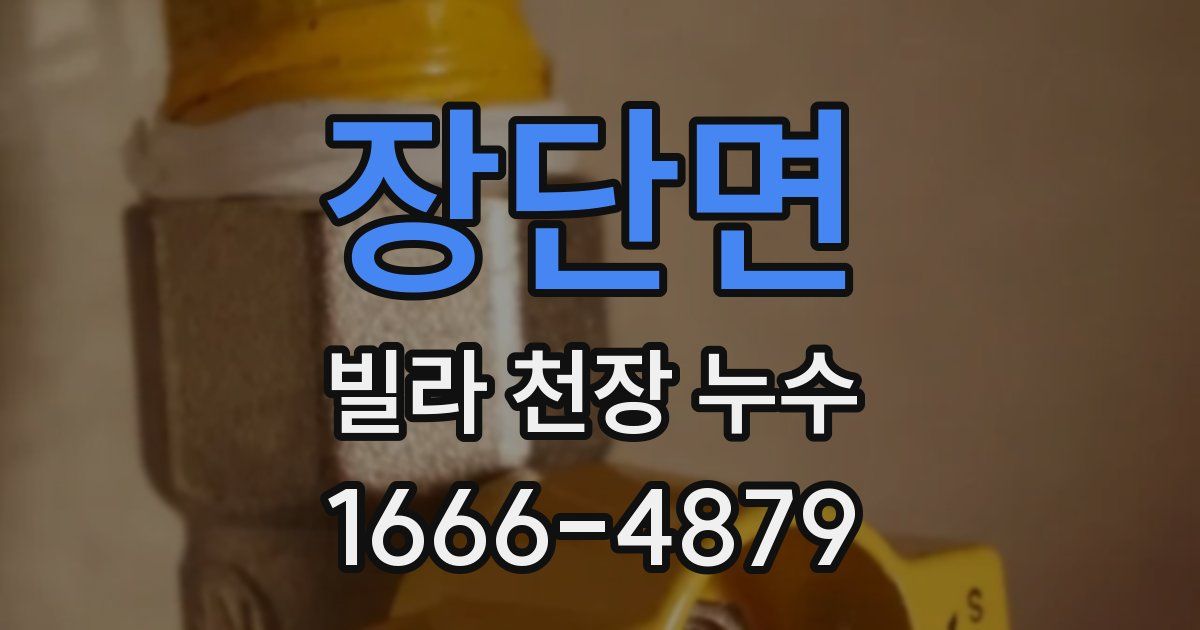장단면 빌라 천장 누수