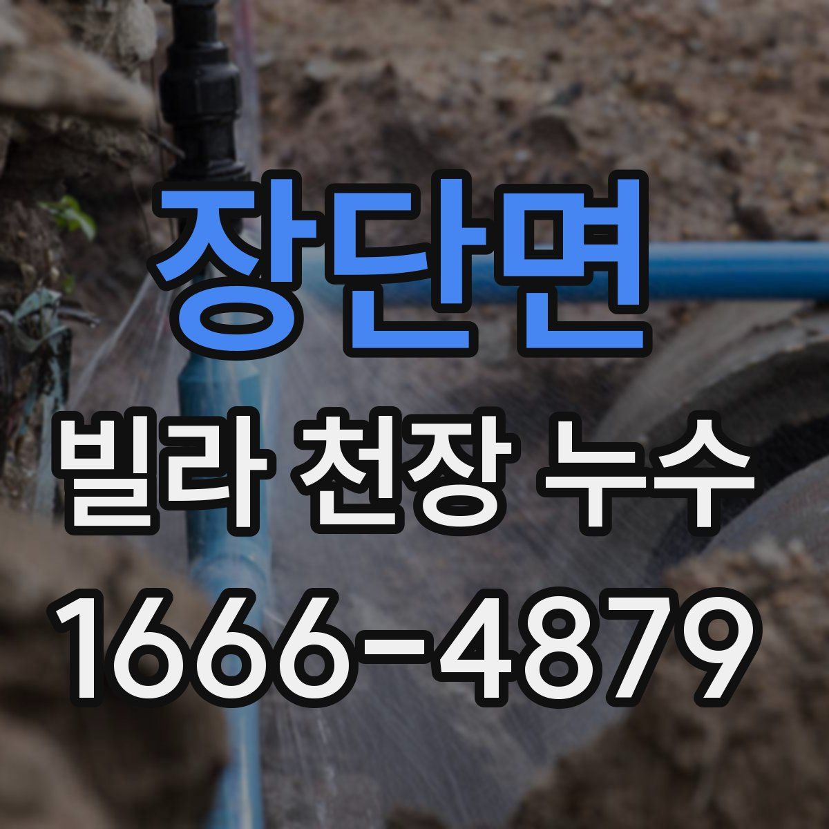 장단면 빌라 천장 누수