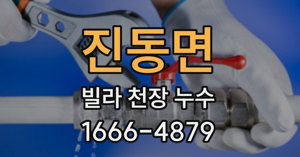 진동면 빌라 천장 누수