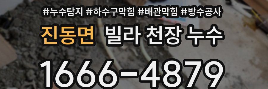 진동면 빌라 천장 누수
