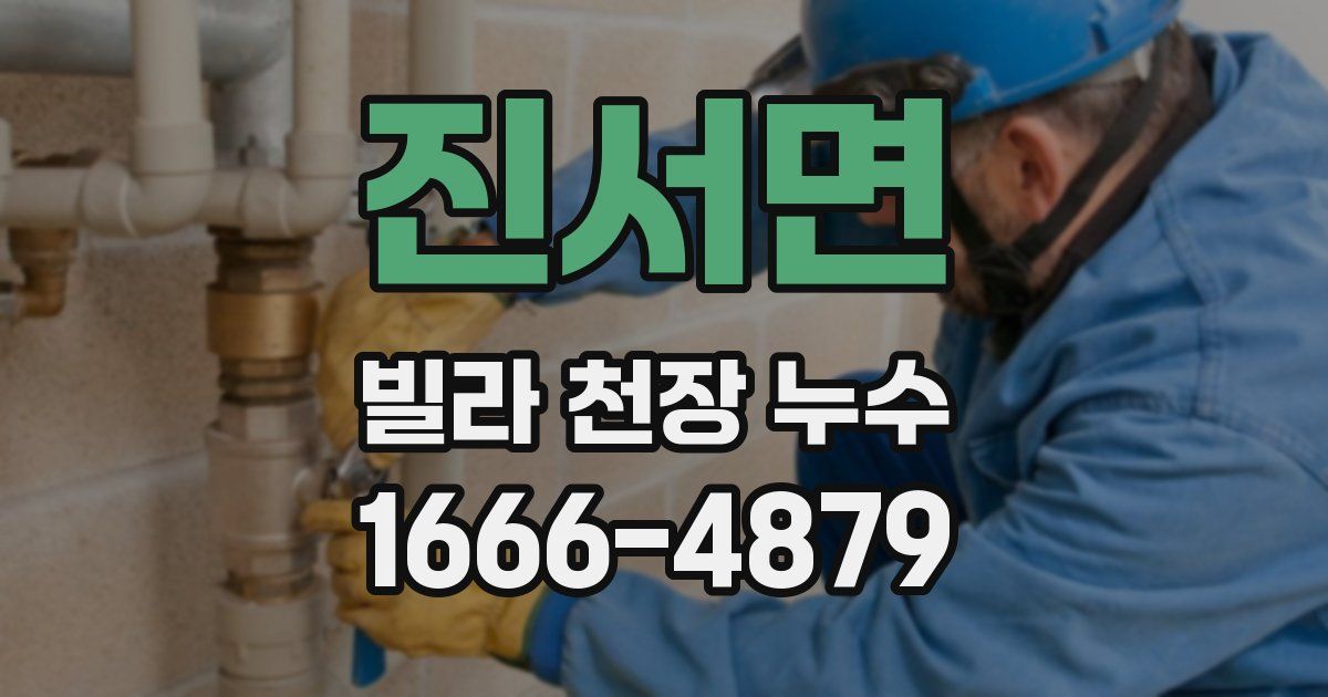 진서면 빌라 천장 누수